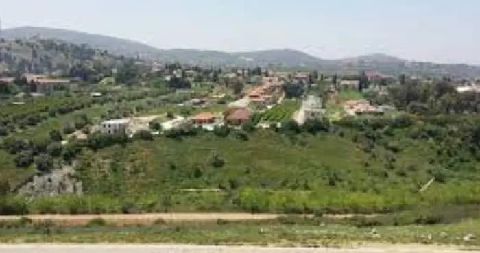 مزارعو القرى الحدودية في حاصبيا يناشدون المعنيين.. إليكم التفاصيل