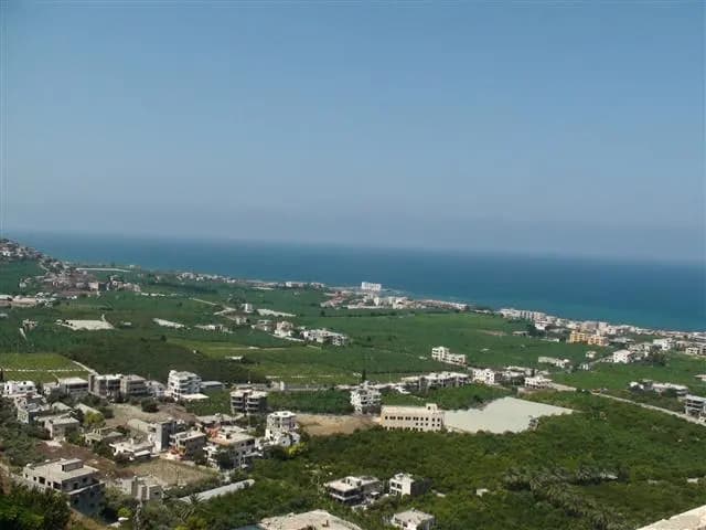 في الصرفند.. ذبـ.ـح عمّه "بشـ.ـفرة حلاقة"