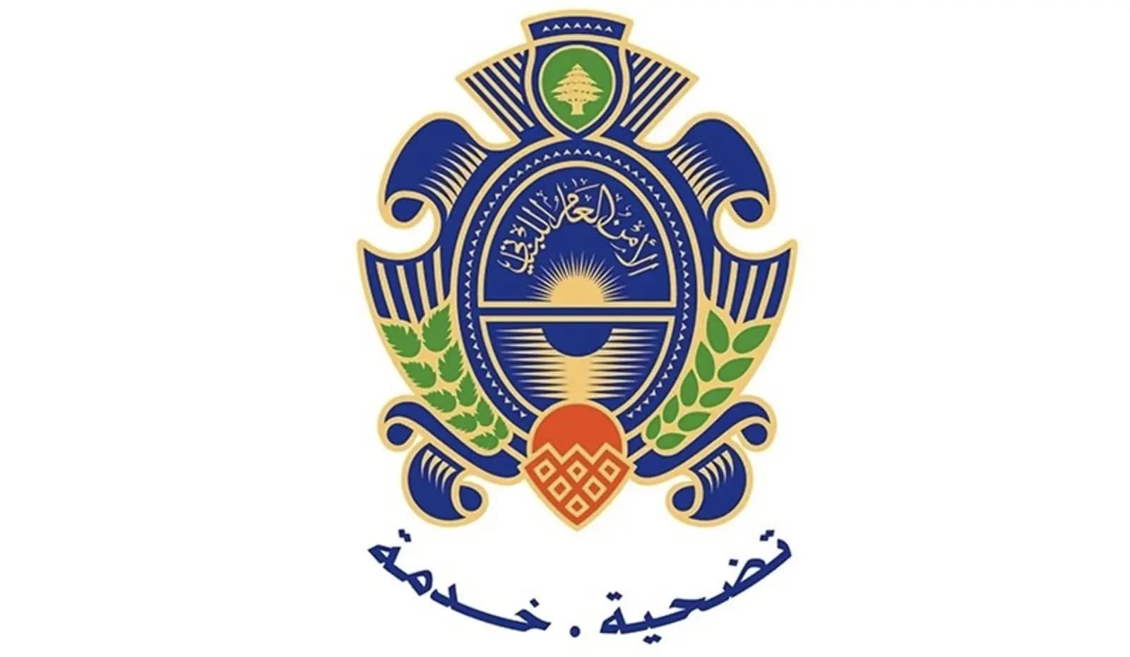 الأمن يقبض على " المكدوس"