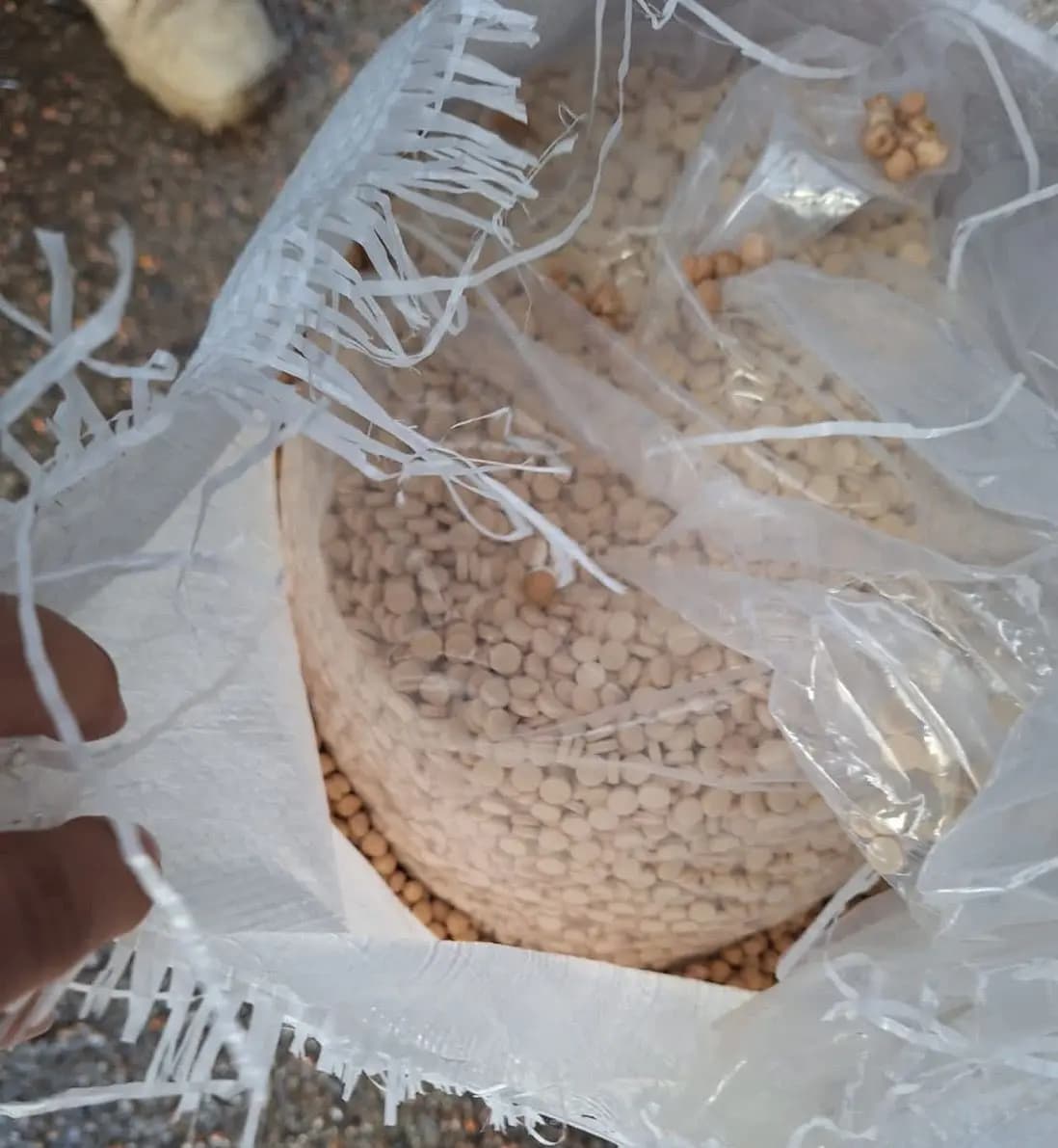 الجمارك توقف عملية تهريب ممنوعات عبر مرفأ بيروت