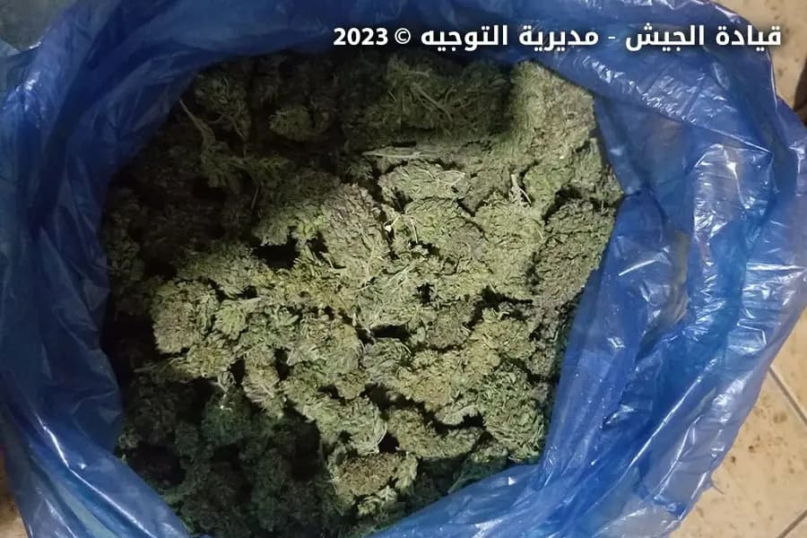 صورة 2