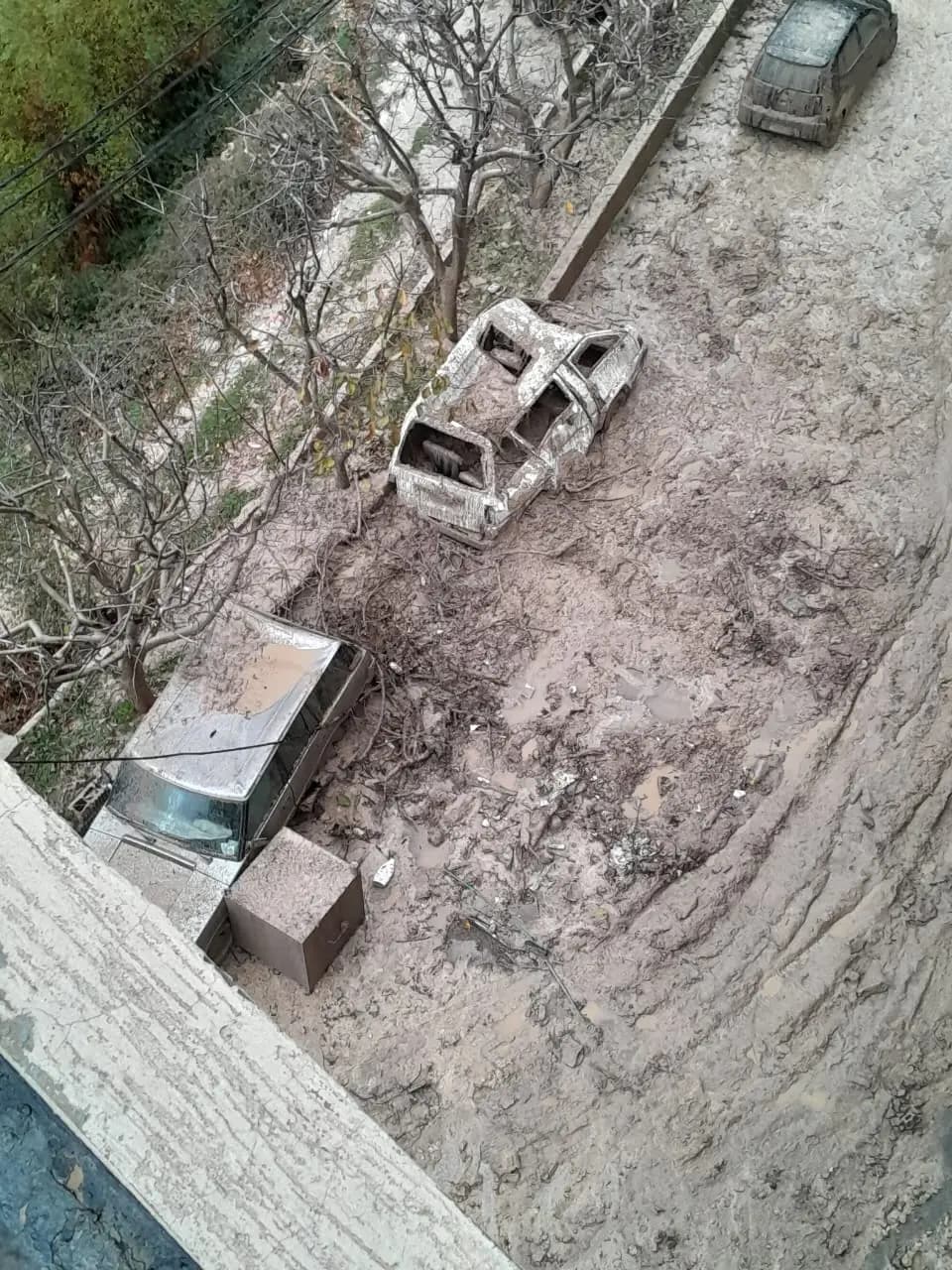 صورة 1