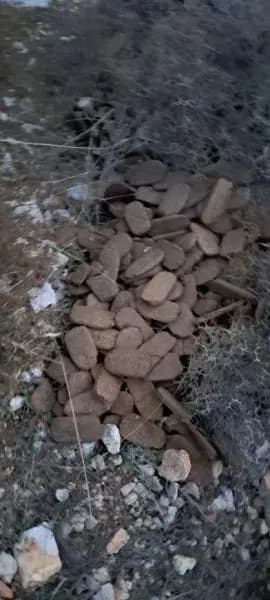صورة 1