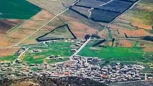 احتراق سيّارة في عانا