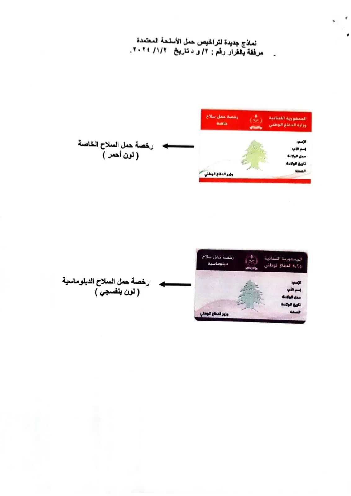 صورة 3
