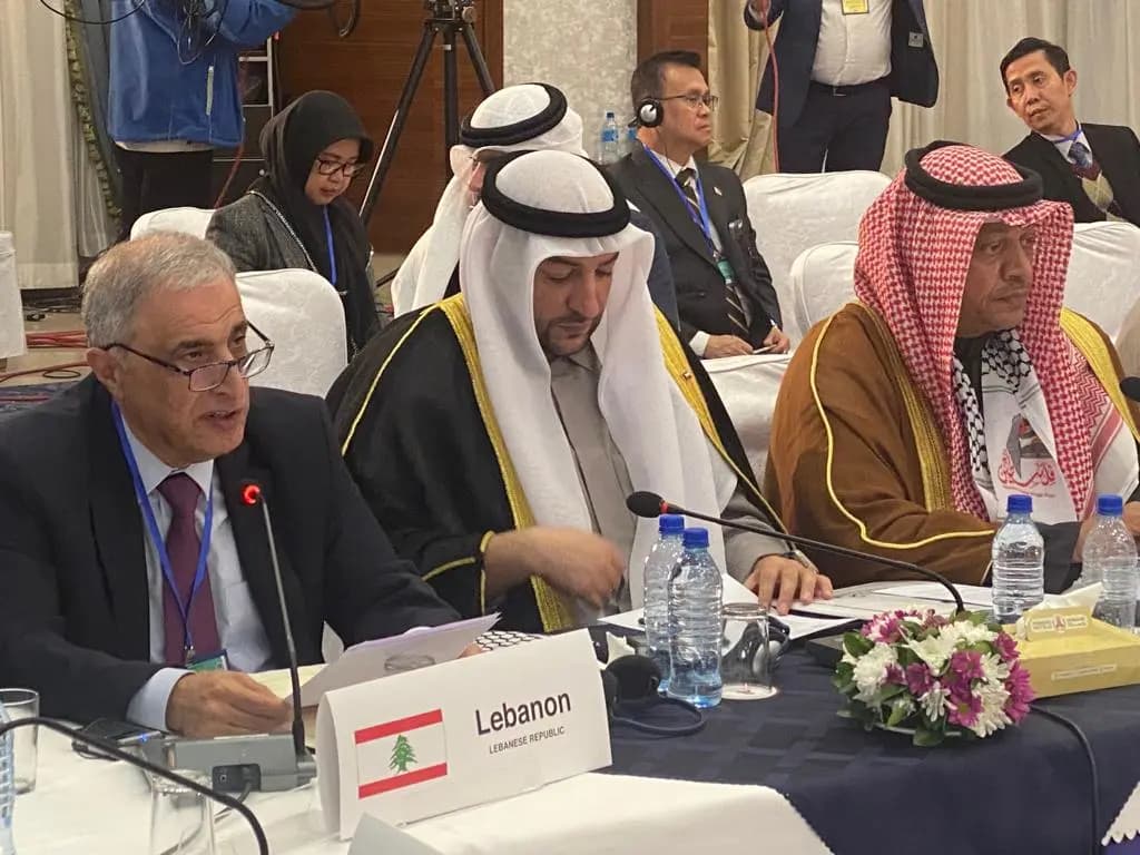 "إرهاب دولي منظم".. هاشم: اعتداءات العدو تتوسع
