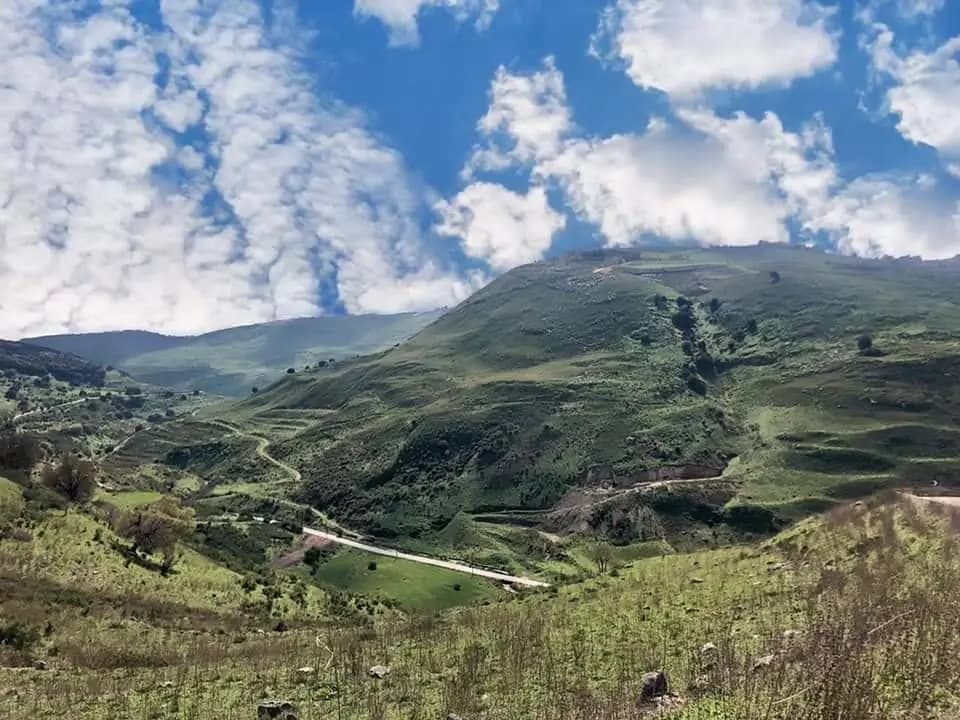 غارات صهيونية على وادي السلوقي.. و معلومات عن إصابة راعٍ وماشيته
