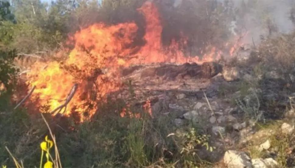 حريق في داريا والدفاع المدني يعمل على اخماده