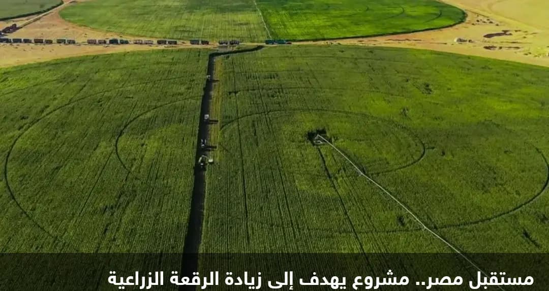 للوقاية من 3 أزمات عالمية.. مصر تستعد بمشروع زراعي ضخم