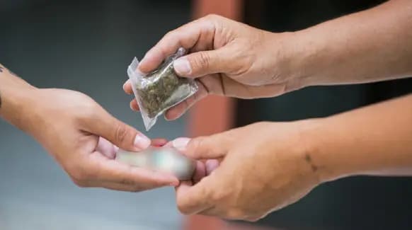 ينشطون بترويج المخدرات في طريق الجديدة.. وهذا مصيرهم