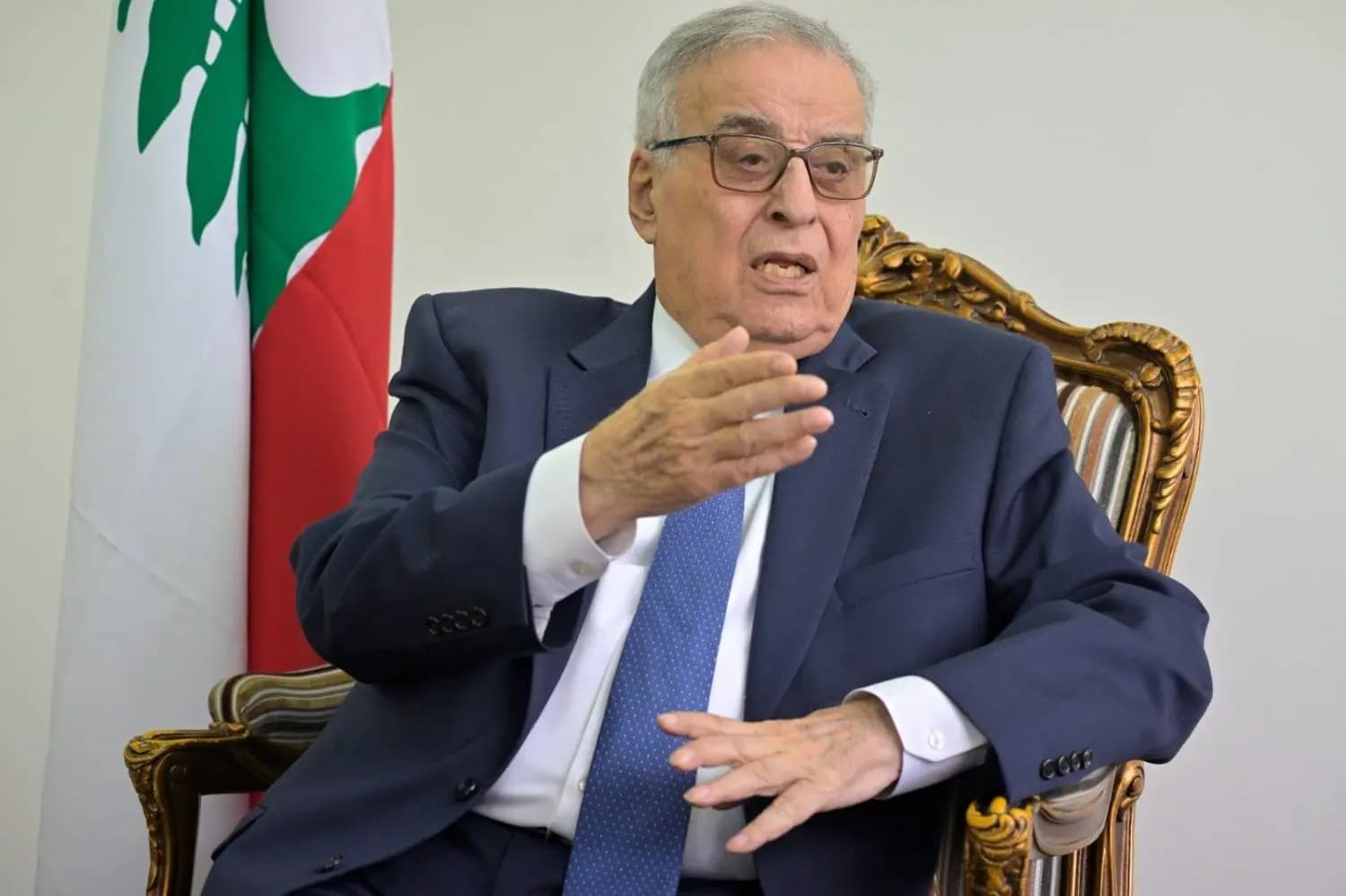 بوحبيب: لبنان يريد تطبيق القرار 1701 بالكامل