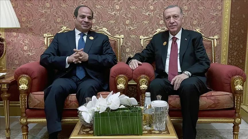 السيسي وأردوغان: سنرفع التعاون الاقتصادي بين البلدين