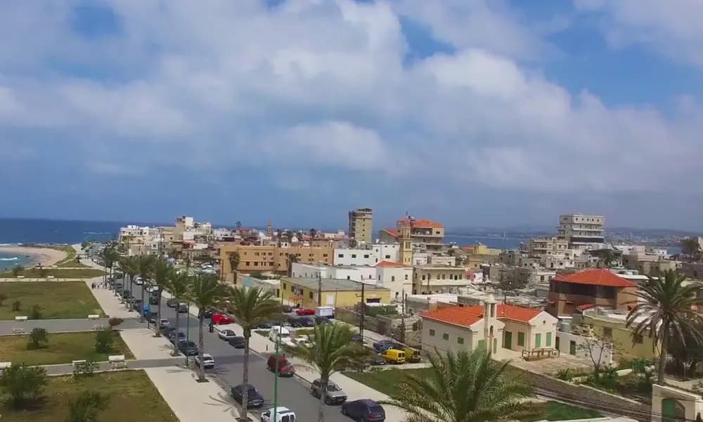 في صور.. ضبط مستودع للمواد الغذائية منتهية الصلاحية