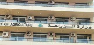 "موظفو الزراعة": مستمرون بالإضراب.. ولكن