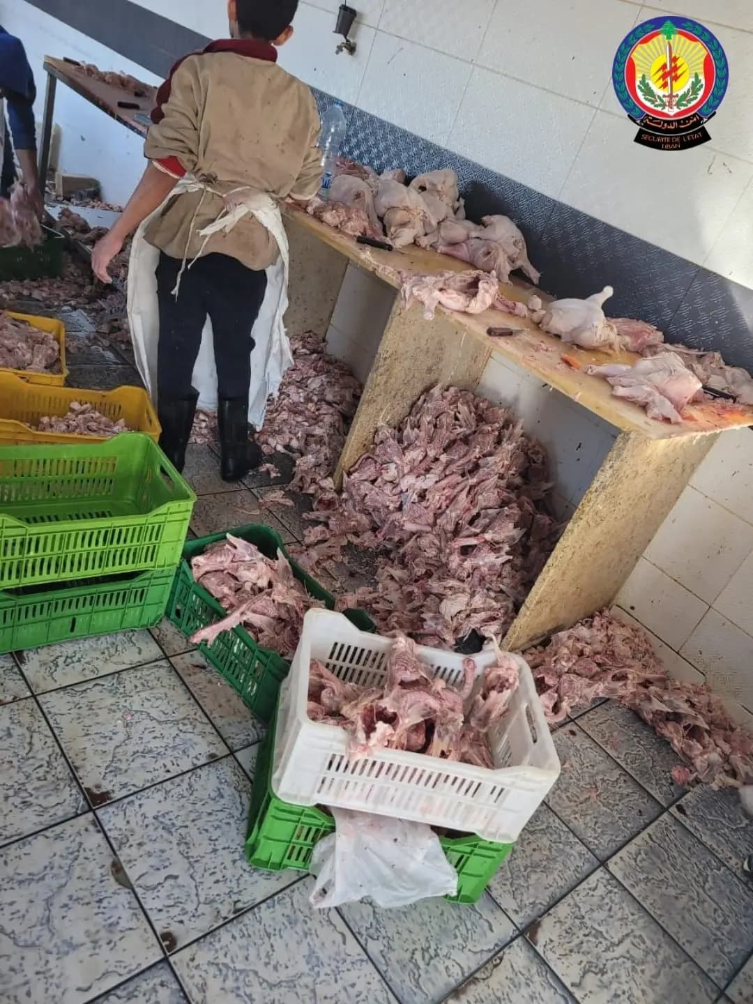 صورة 1