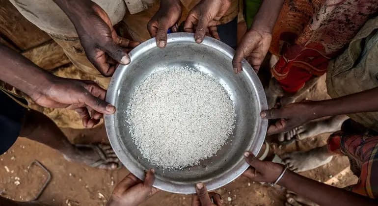 "الأغذية العالمي" يحذر: السودان على شفا "أكبر أزمة جوع في العالم"
