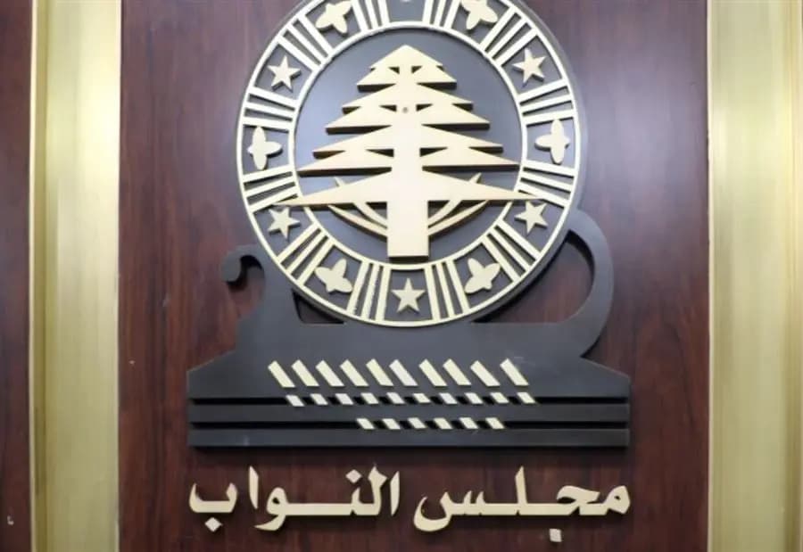 التيار حسم قراره بترشيح النائب الياس بو صعب لمنصب نائب رئيس مجلس النواب