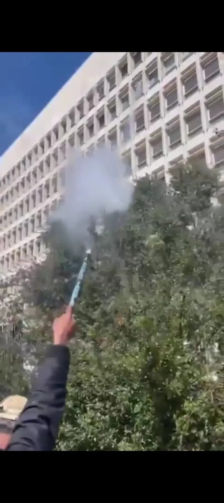 صورة 1