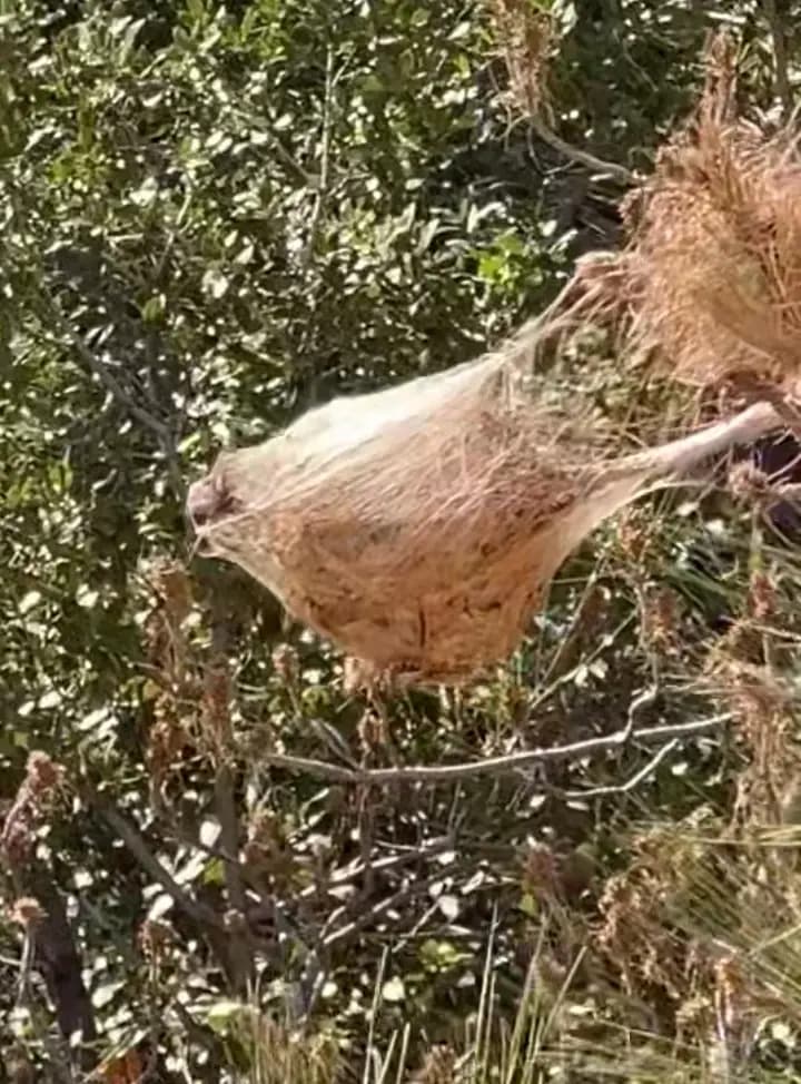 صورة 1