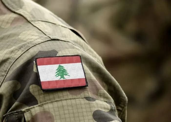 "في إطار الملاحقات القانونية".. 5 مطلوبين بيد الجيش