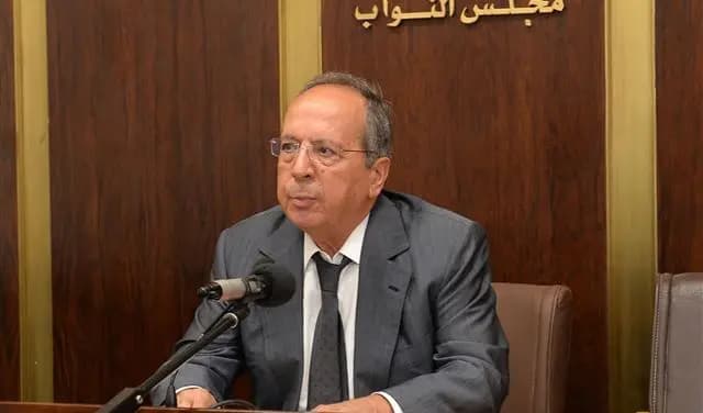 السيد: حياة العربي بدينار ولكن!