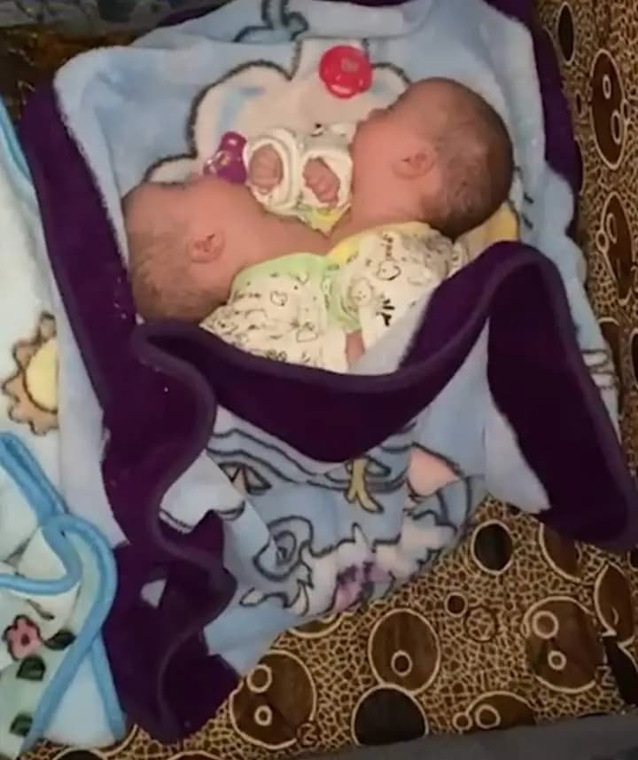 صورة 1
