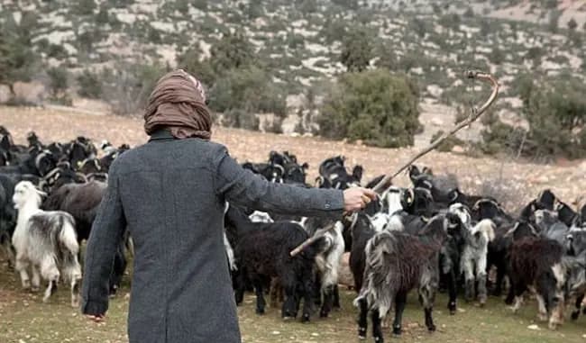 قوّة إسرائيلية تخطف راعٍ من بلدة شبعا