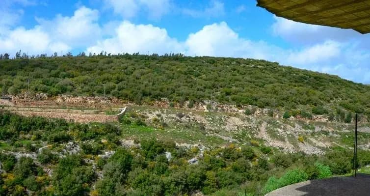 العدو يرتكب مجزرة في "حانين".. إليكم التفاصيل