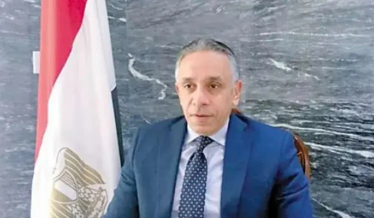 لا نروج لمبادرة بري.. السفير المصري: يجب انتهاز تطورات المنطقة لانتخاب رئيس