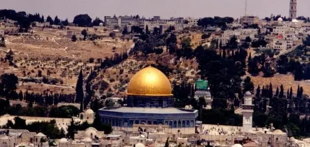 "في هذه الحالة فقط".. حماس تبدي استعدادها لإلقاء السلاح