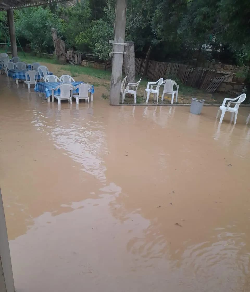 صورة 1