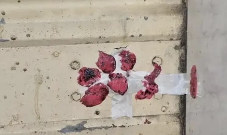 "في النبطية".. الأمن العام يختم محلات بالشمع الأحمر
