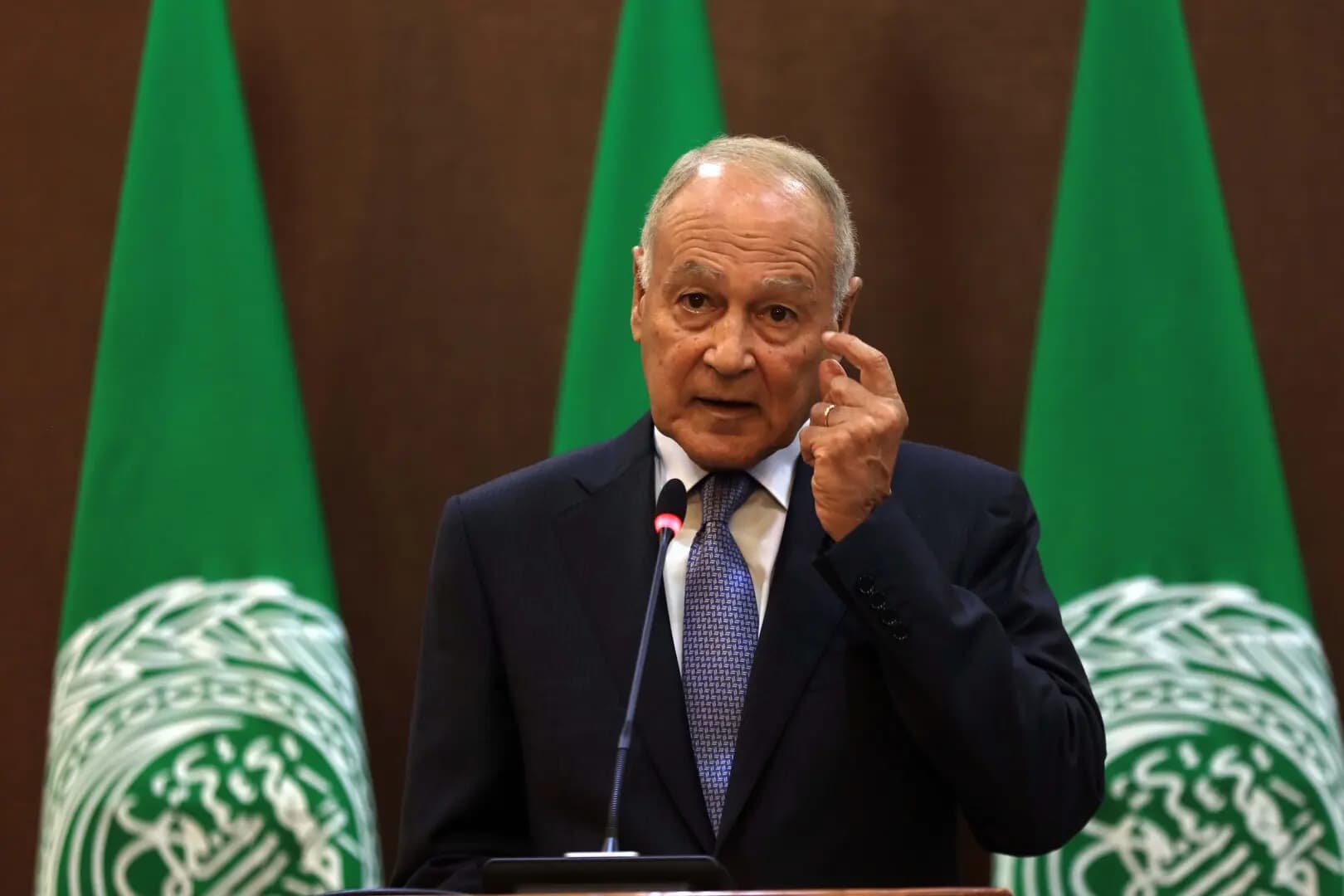 "لتجسيد رؤية حل الدولتين".. أبو الغيظ يطالب بمؤتمر دولي للسلام