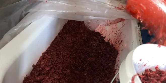 في حارة حريك.. "الريجي" تضبط منتجات تبغية مهربة ومزورة