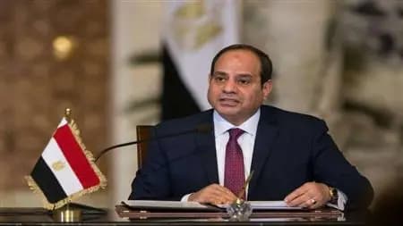 السيسي يدعو لوقف الحرب الإسرائيلية الغاشمة