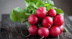خصائصُ الفجل الفريدةُ والمفيدةُ