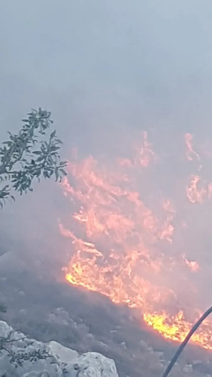صورة 1