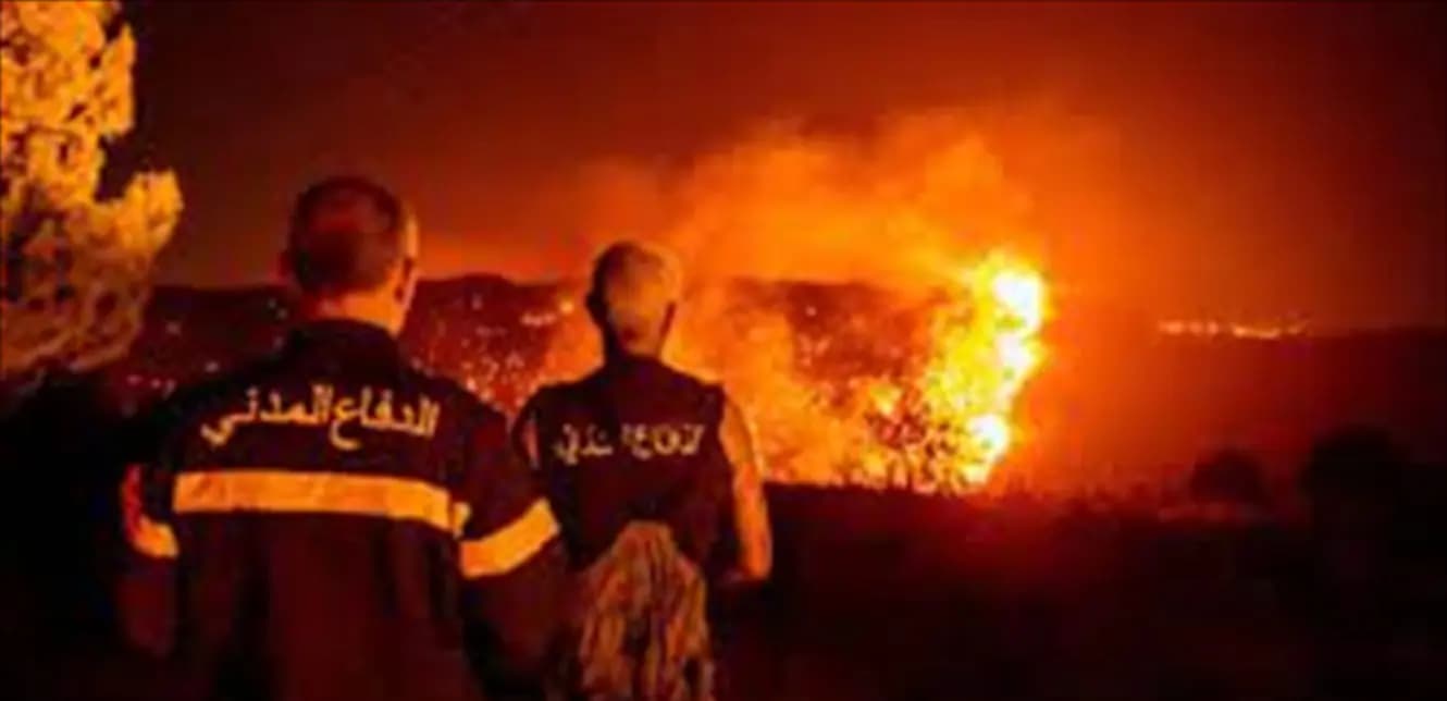 إرشادات لتفادي حرائق الغابات