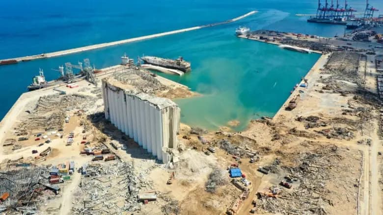 الذباب يجتاح مرفأ بيروت.. والسبب؟