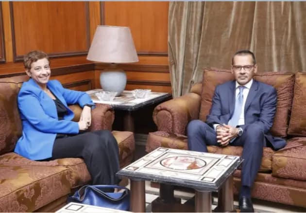 علامة يستقبل سفيرة قبرص.. وهذا ما جرى بحثه
