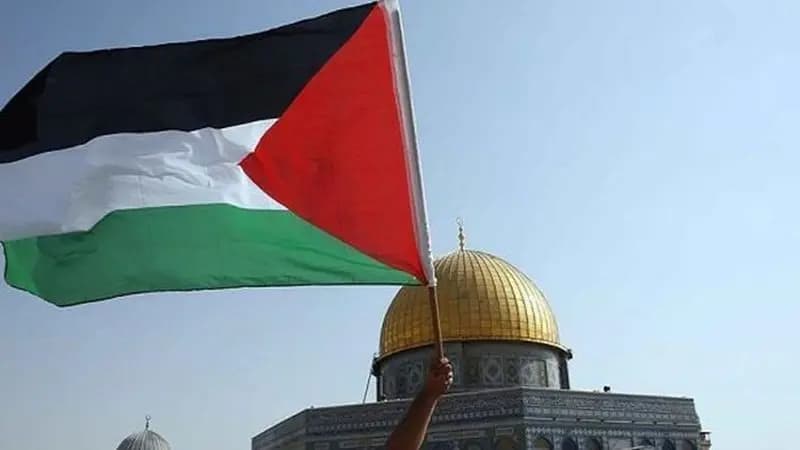 لجان المقاومة الفلسطينية ترفض دخول القوات الأجنبية