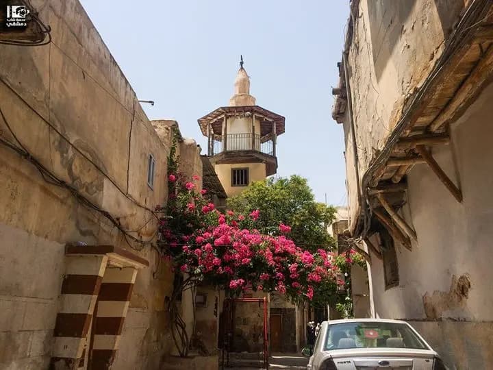 راجعلك يا شام!