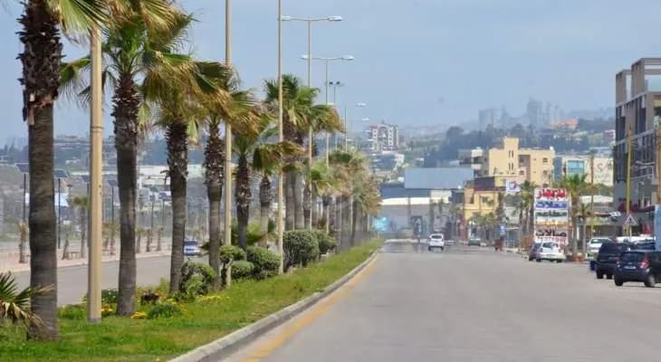 محاضر ظبط في أسواق صيدا
