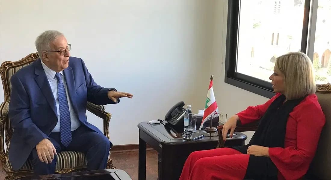 بو حبيب يؤكد ضرورة تطبيق القرار 1701