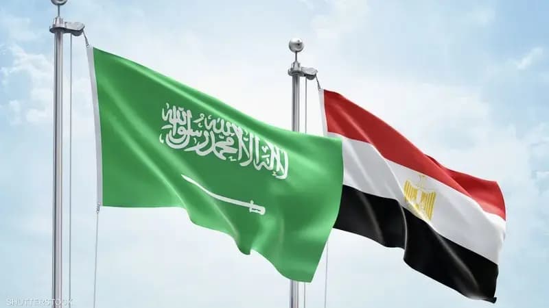 مصر والسعودية تبحثان في التصعيد الإقليمي الخطير