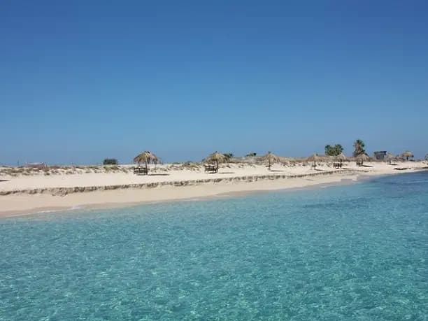 وزير البيئة يفتتح موسم جزر النخيل في الشمال