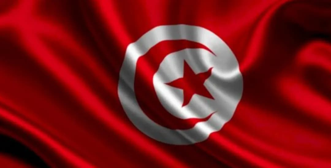الرئيس التونسي يتسلم مسودة الدستور.. ويؤكد أنه مشروع ليس نهائيًا وبعض فصوله قابلة للمراجعة وتحتاج إلى مزيد من التفكير