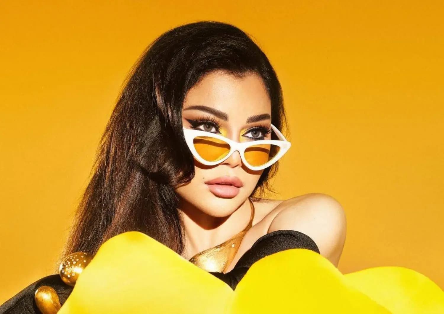 إجراء جديد بحق "هيفاء وهبي".. ما هو؟