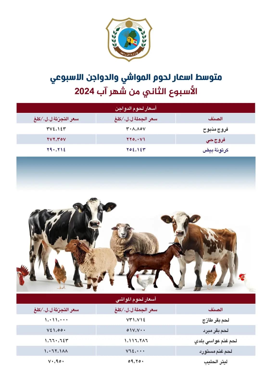 صورة 1