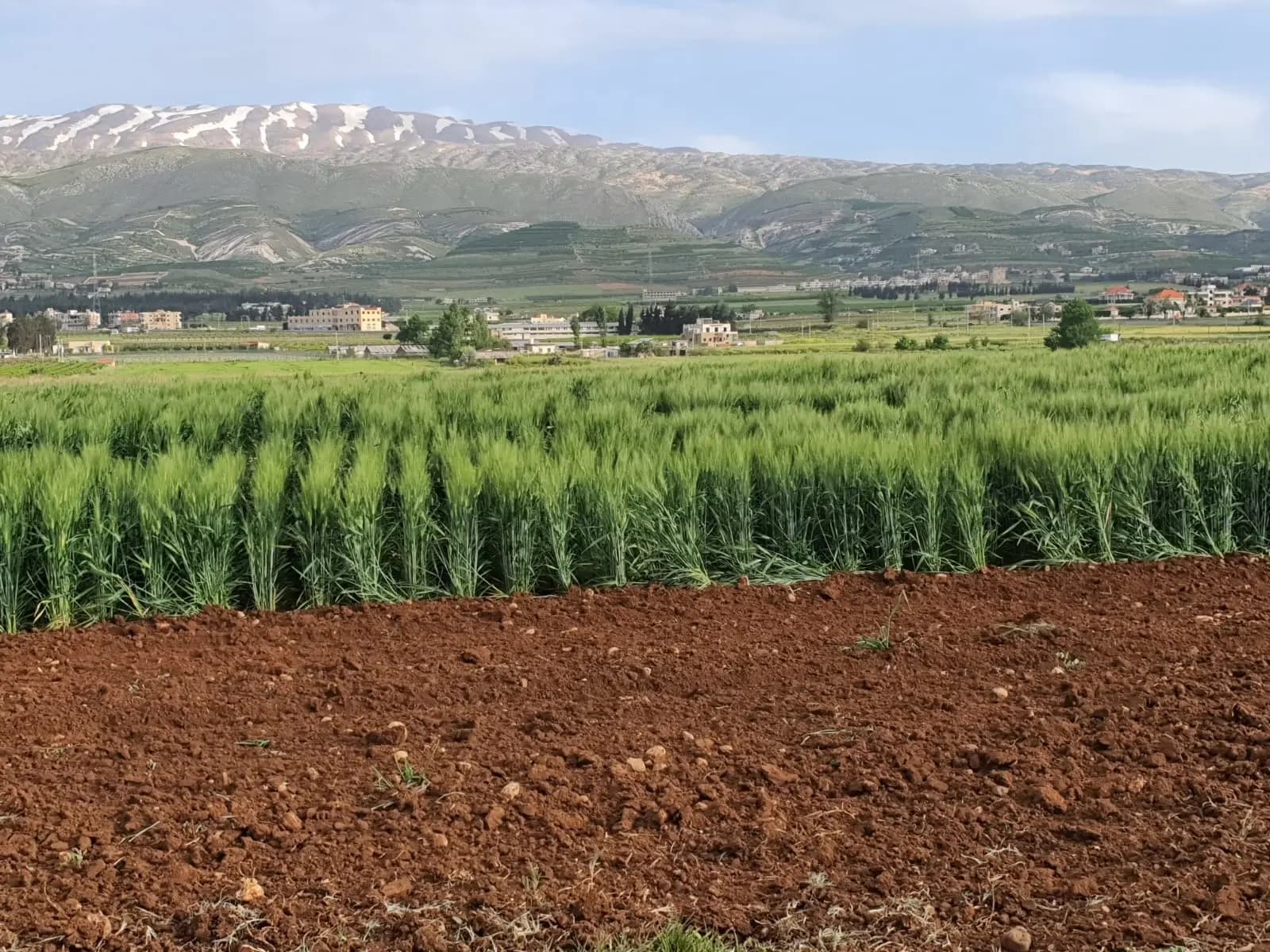 "تحسبًا لأي طارئ".. مؤسسات تقفل أبوابها في البقاع